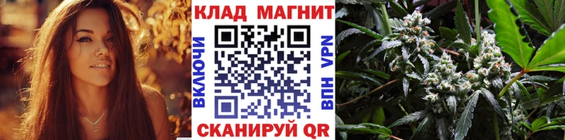 Где продают наркотики Ленинск-Кузнецкий Гашиш  Cocaine  Амфетамин  МЕФ 