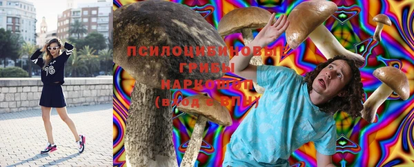молекула духа Алзамай