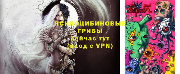 гидропоника Алексеевка