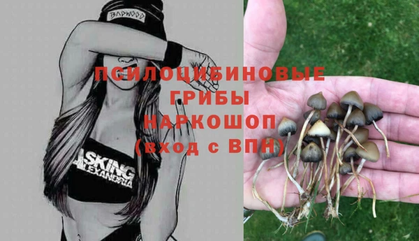 молекула духа Алзамай