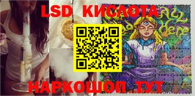 прущие грибы Краснодар