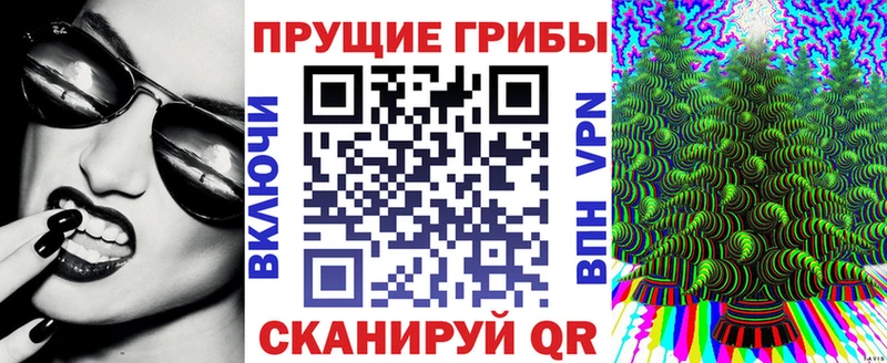 mega маркетплейс  Ленинск-Кузнецкий  Галлюциногенные грибы Magic Shrooms 