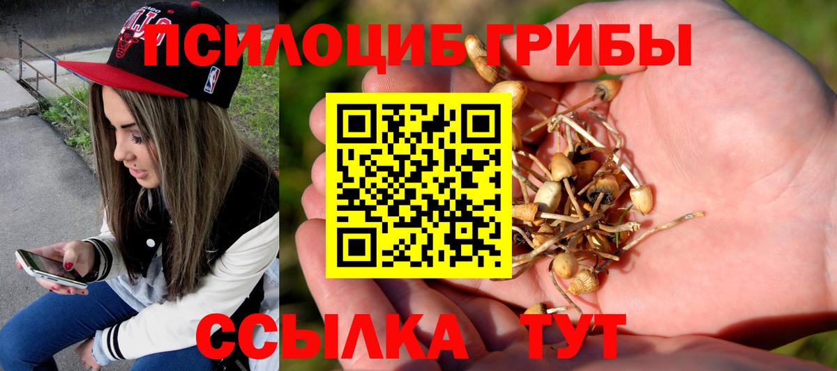 Галлюциногенные грибы Cubensis Ленинск-Кузнецкий