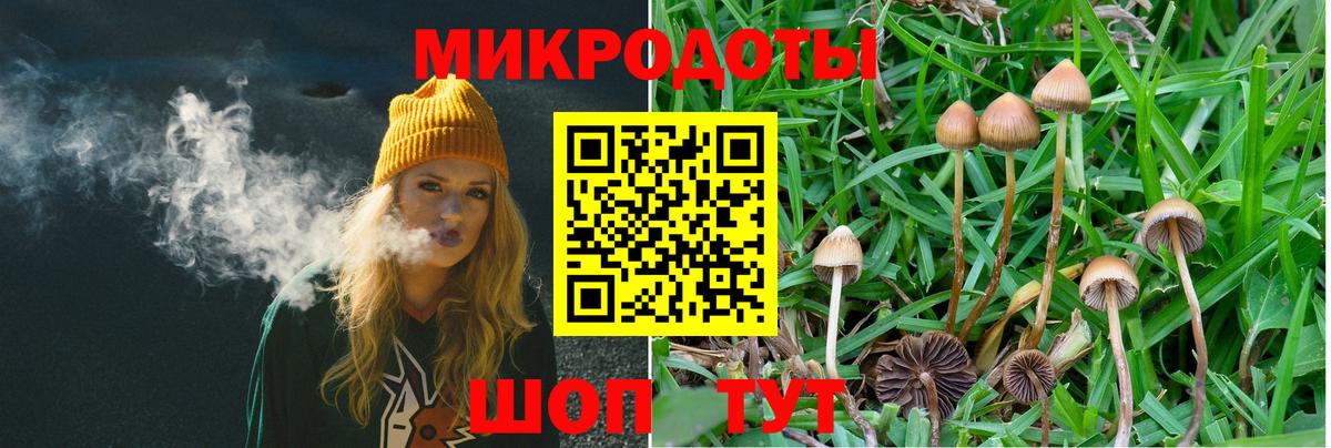 Псилоцибиновые грибы MAGIC MUSHROOMS  Вход с VPN  Ленинск-Кузнецкий  Псилоцибиновые грибы GOLDEN TEACHER 